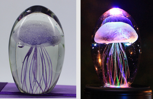 Jellyfish Lamp