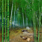 Custom Photo Wallpaper 3D Nature Landscape Bamboo Forest Mural Living Room TV Sofa Bedroom Home Decor Papel De Parede Wallpapers