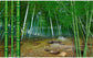 Custom Photo Wallpaper 3D Nature Landscape Bamboo Forest Mural Living Room TV Sofa Bedroom Home Decor Papel De Parede Wallpapers