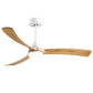 Children's Room Ceiling Lamp Electric Fan