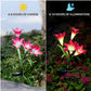 Solar Lily Flower Lights LED Solar Garden Light Lawn Light Landscape Light Waterproof Flower Light