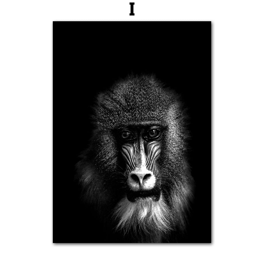 Animal Canvas Poster Art Painting Wall Room Decor Frameless | Decor Gifts and More