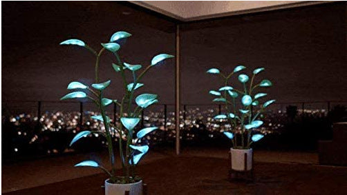 New Magic Led Indoor Plant Lamp | Decor Gifts and More