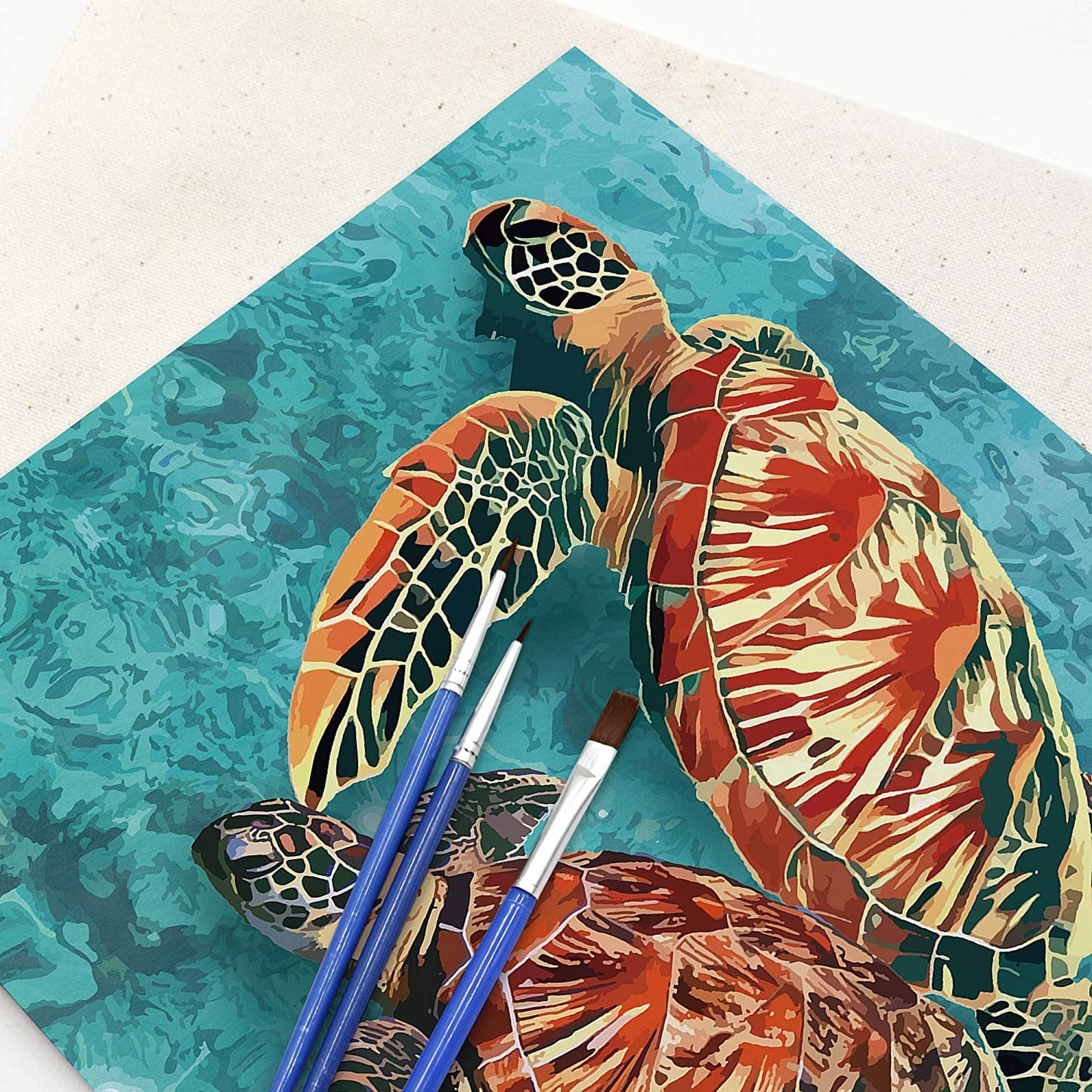 colorful paint numbers tortis adult hand drawn kit ocean turtle beach painting