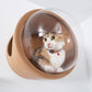 Round Solid Wood Cat Wall Springboard | Decor Gifts and More