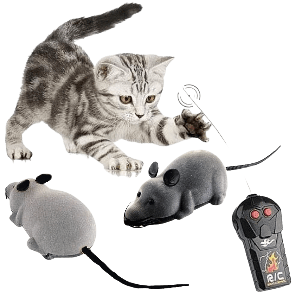 LU2000 Wireless Electronic Remote Control Rat Plush RC Mouse Toy Hot Flocking Emulation Toys Rat for Cat Dog Kid-Gray | Decor Gifts and More