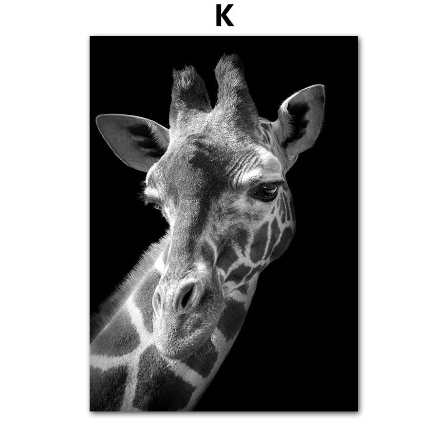 Animal Canvas Poster Art Painting Wall Room Decor Frameless | Decor Gifts and More