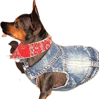 Dog Or Cat Denim Jean Vest, - Home Decor Gifts and More