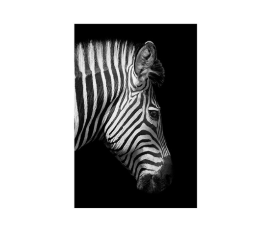 Black And White Animal Zebra Wall Art Canvas Painting Wall Poster Living Room Decor | Decor Gifts and More