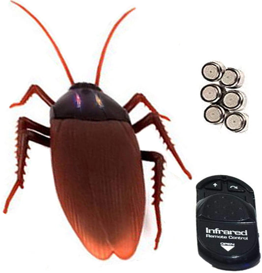 Remote Control Cockroach | Decor Gifts and More