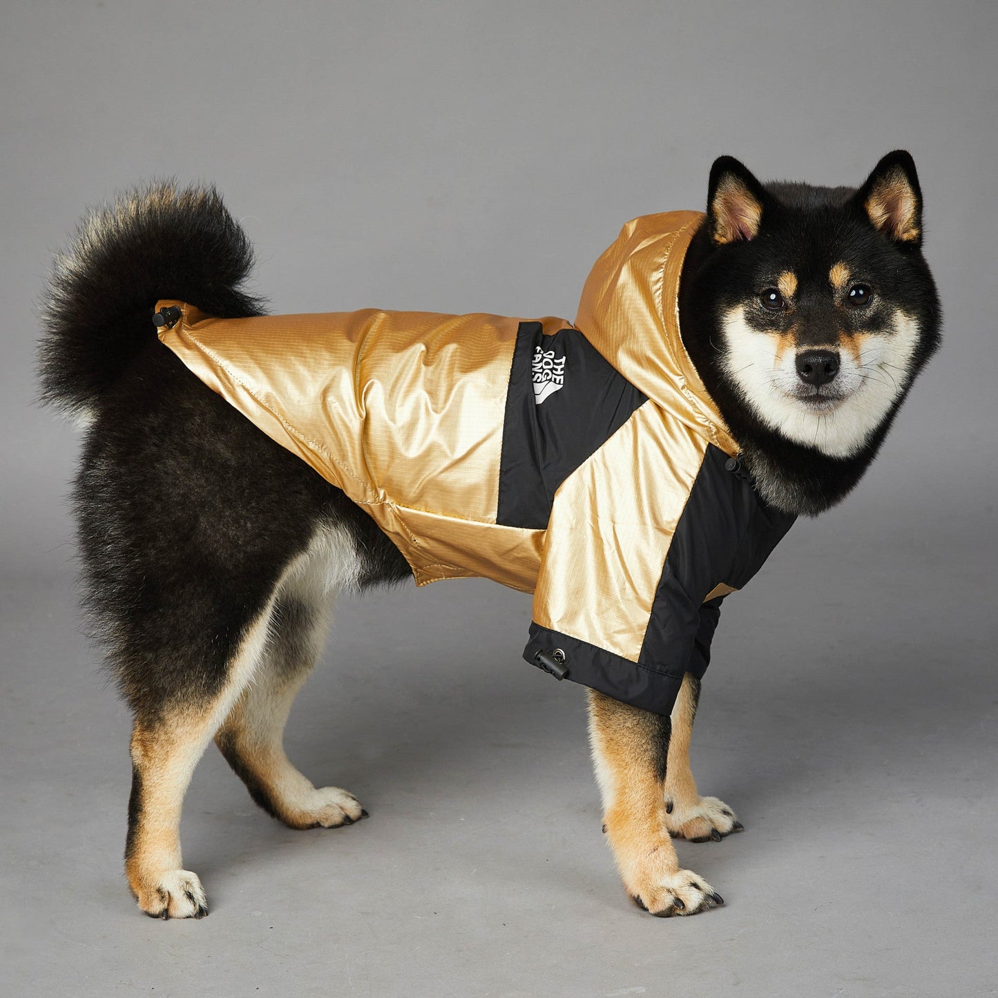 Dog Large Dog Raincoat Pet Jacket | Decor Gifts and More