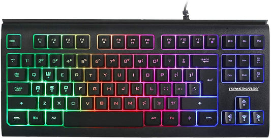 Rainbow LED Backlit 87 Keys Gaming Keyboard, Compact Keyboard with 12 Multimedia Shortcut Keys USB Wired Keyboard for PC Gamers Office - Home Decor Gifts and More