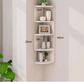 Wall  Creativity Lattice  Wall Corner Wall Decoration Shelf Bedroom | Decor Gifts and More