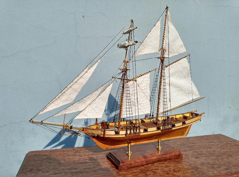 Fashionable Harvey DIY Ship Model Kit Wooden | Decor Gifts and More