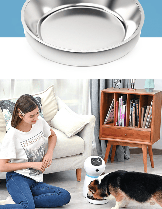 Automatic pet feeder | Decor Gifts and More