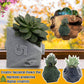 3D Printed Plant Pot Table Top RPG Dice Succulent Planter Set Home Decoration Multifunction Garden Flower Pot | Decor Gifts and More