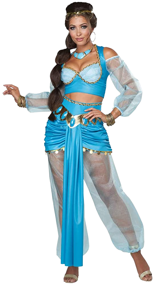 California Costumes womens Arabian Folk Hero Adult Costume | Decor Gifts and More