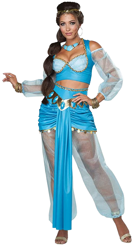 California Costumes womens Arabian Folk Hero Adult Costume | Decor Gifts and More