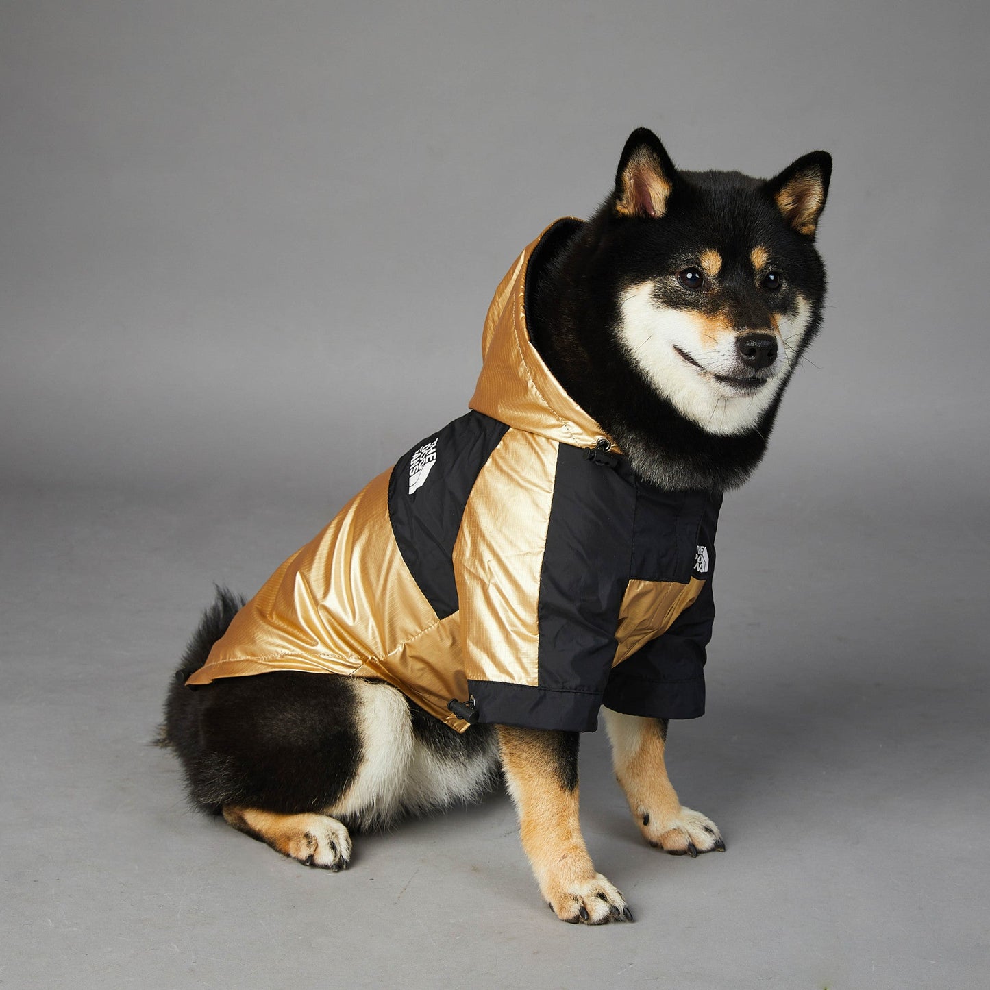 Dog Large Dog Raincoat Pet Jacket | Decor Gifts and More