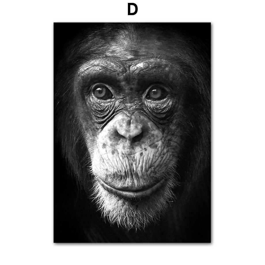 Animal Canvas Poster Art Painting Wall Room Decor Frameless | Decor Gifts and More