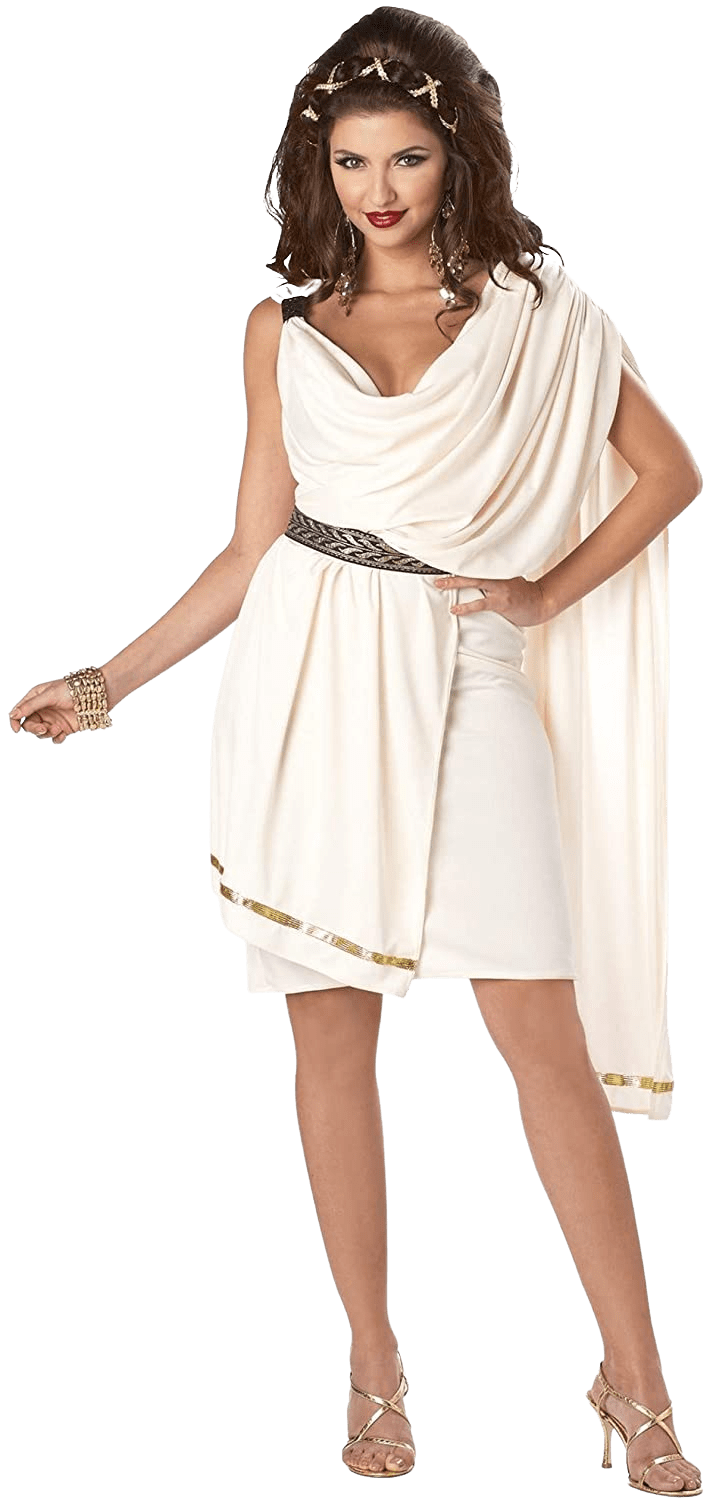 Women's Deluxe Classic Toga Costume | Decor Gifts and More