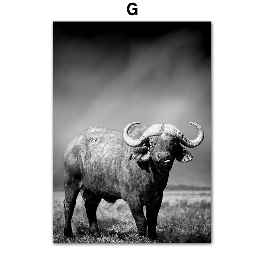 Animal Canvas Poster Art Painting Wall Room Decor Frameless | Decor Gifts and More