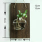 Wall-mounted Solid Wood Creative Home Hanging Vase | Decor Gifts and More